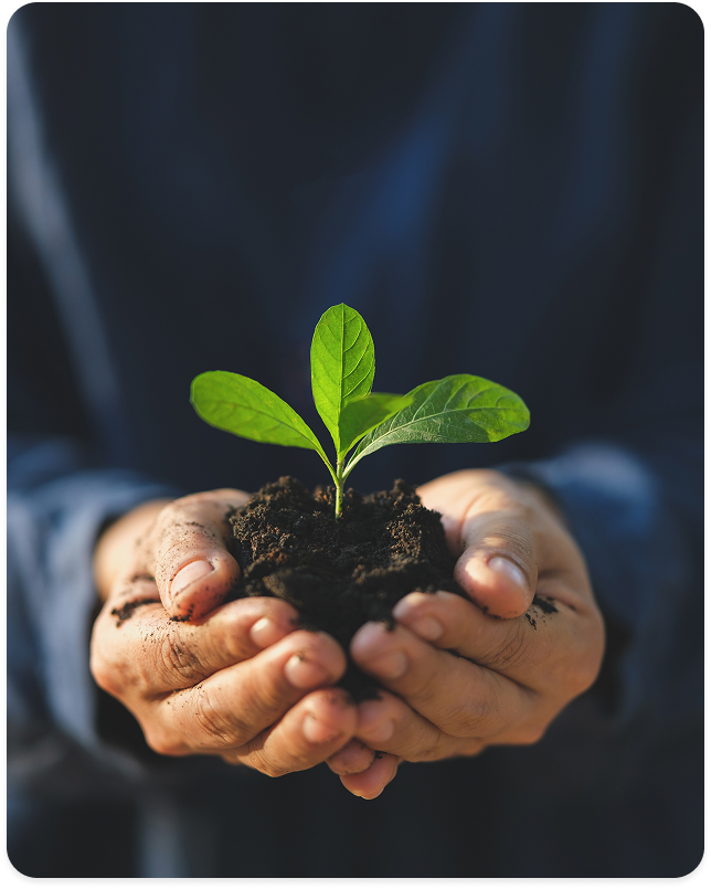 sustentabilidade imagem